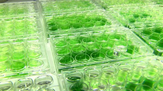 Pripravuje sa novela zákona o podpore OZE. O biopalivách a skleníkových plynoch
